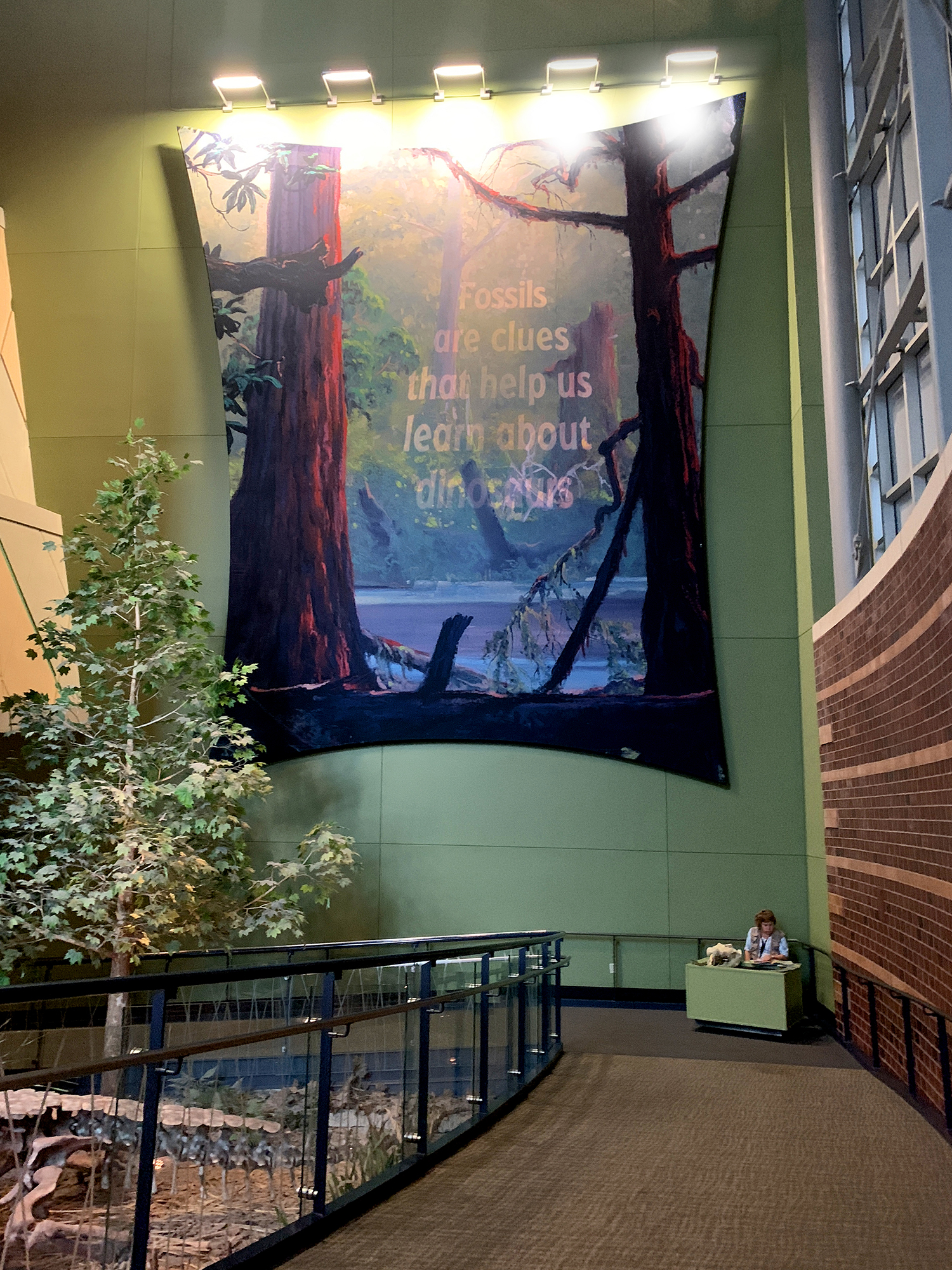 DinoSphereBanner environmental design