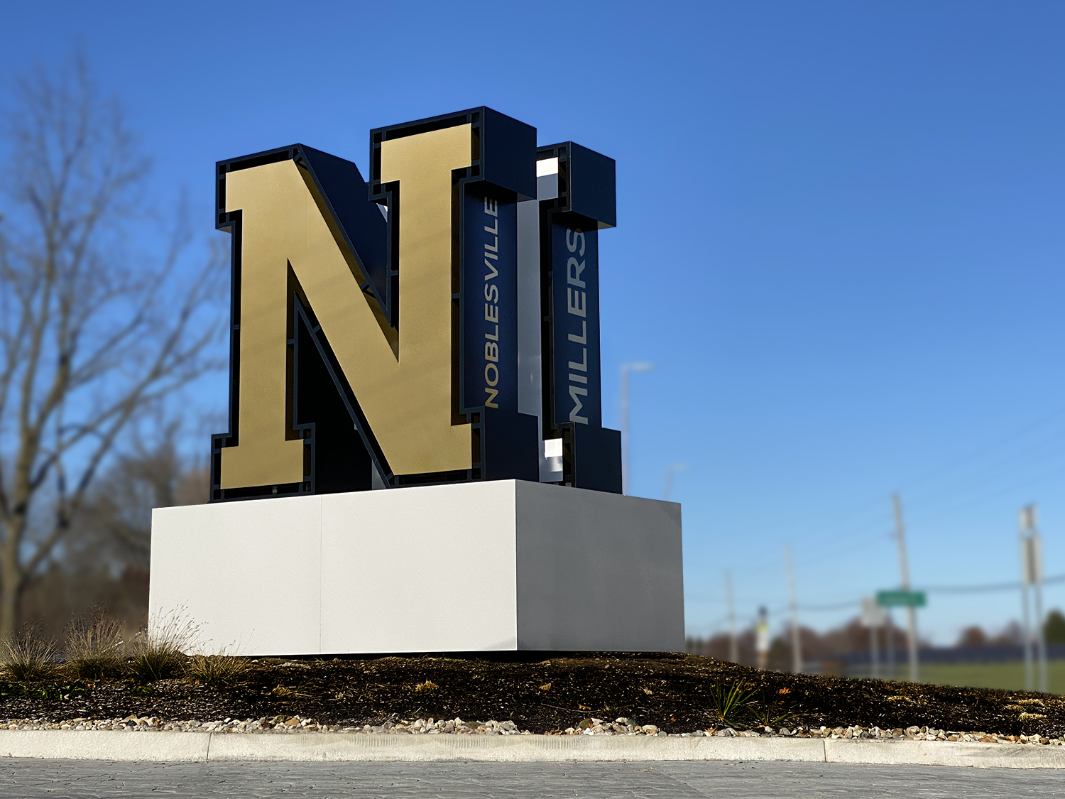 N3