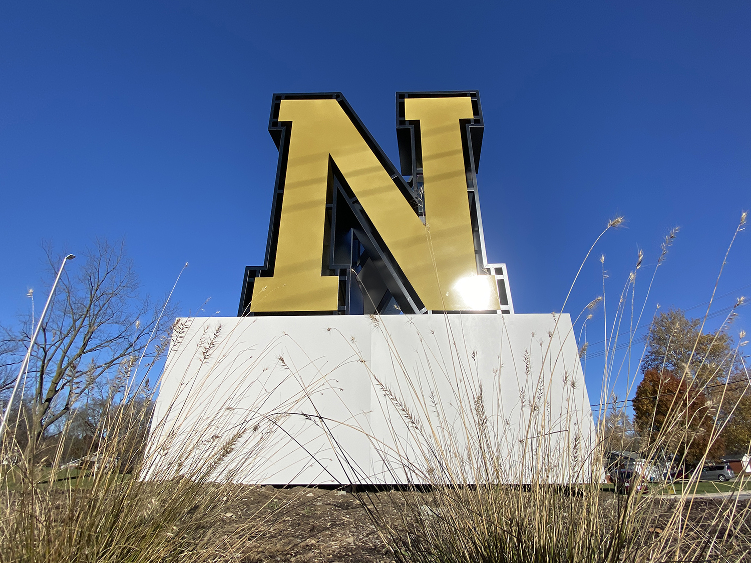 N6